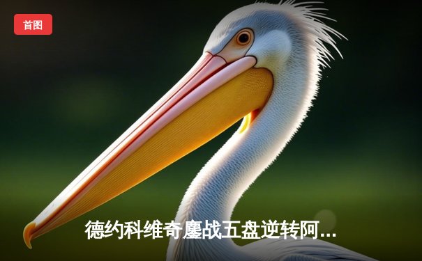 德约科维奇鏖战五盘逆转阿尔卡拉斯 第24座大满贯近在咫尺